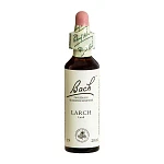 Lærk Larch Bach 19